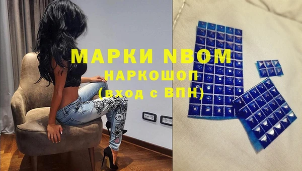 твердый Арсеньев