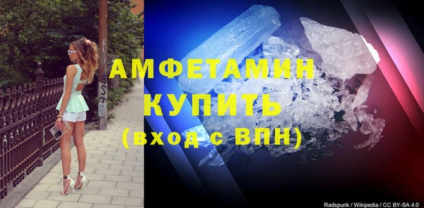 твердый Арсеньев